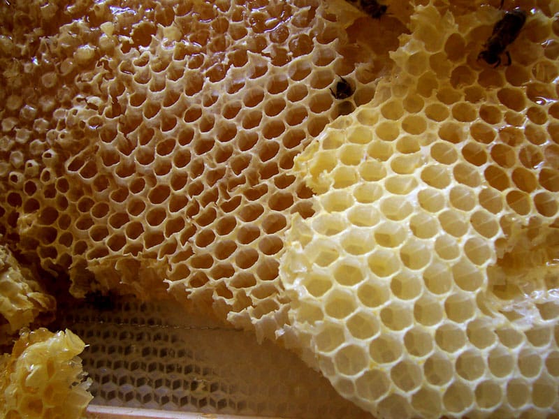 Natürliche Muster Honigwabe
