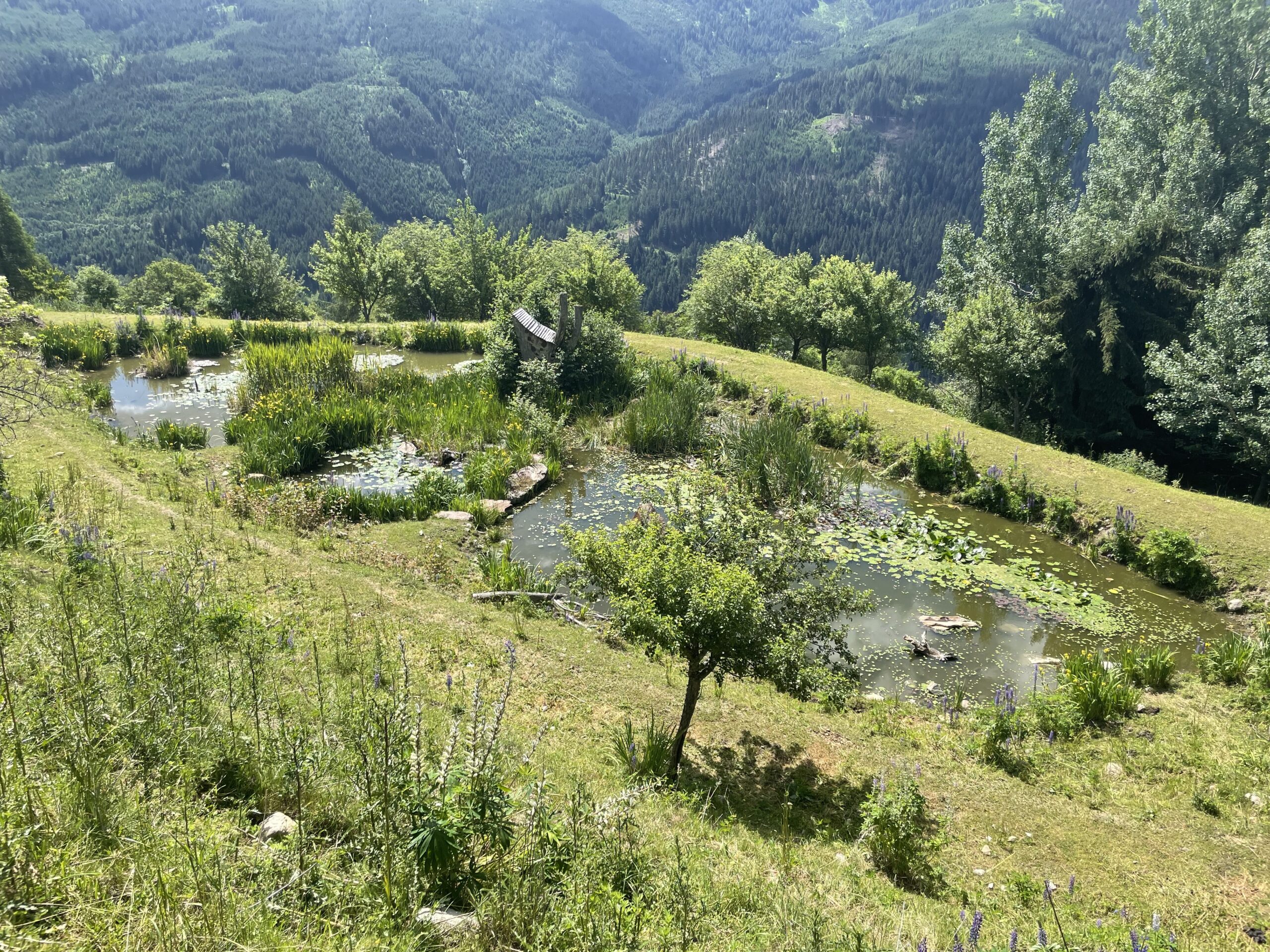 Permakultur und Naturgarten Biotop